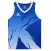 BLUE481