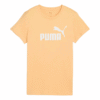 ORANGE41