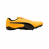 ORANGE01