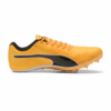 ORANGE01